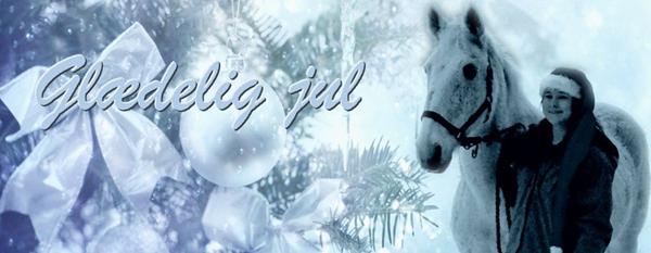 Glædelig jul! 