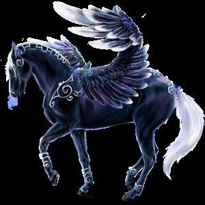 Criollo sælges hvad er hun værd?