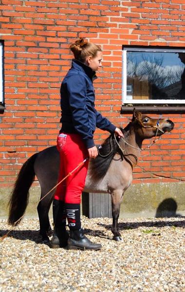 At få sin hest til at lægge ned