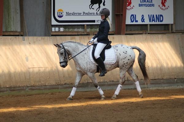 Hævet og ømt haleben