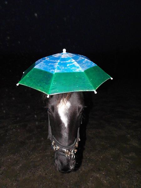 "Der findes ikke dårligt vejr...