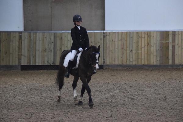 Følbilleder gonduer