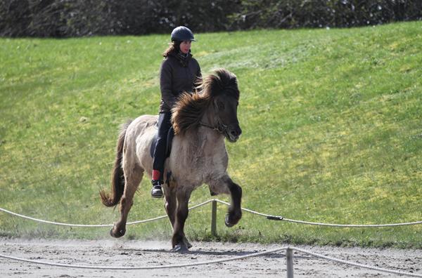 Hvornår ville i senest klippe?