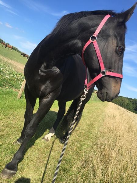 Sjove navne!? (Hygge emne)