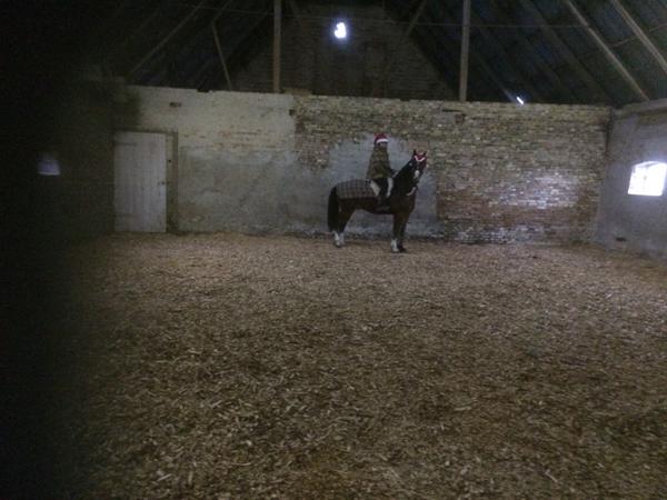 Et lille ridehus i julegave!:-D