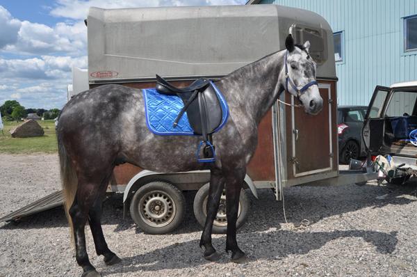 Panikker ved trailerlæsning