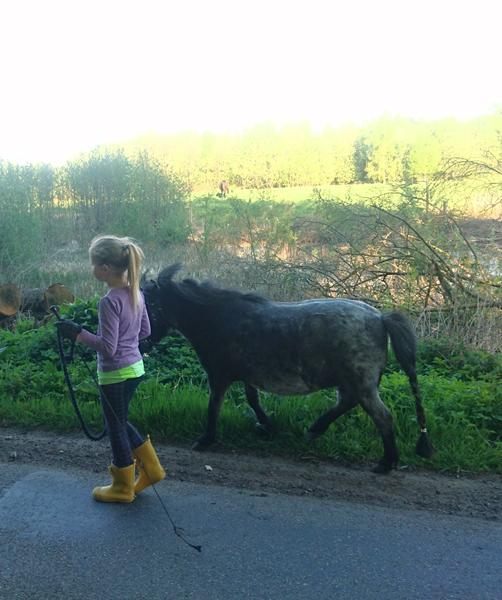 Forskel på billedet 1+2? 