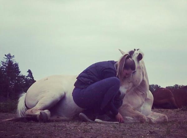 Hest med besværet vejrtrækning og hævelse i øjne