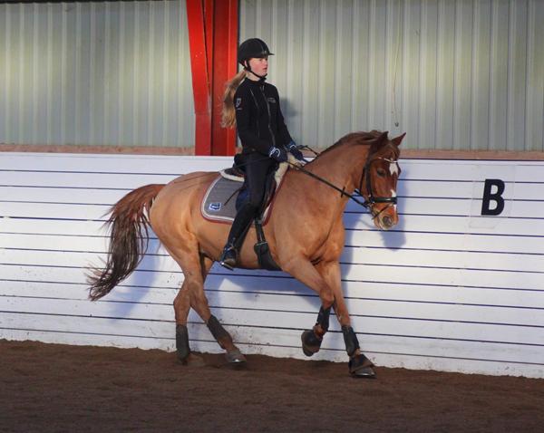 Hold til DM i dressur for pony søges