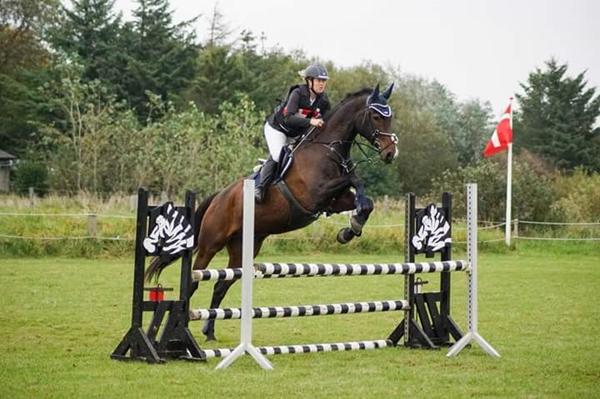 Springbilleder i ridehal hvordan 