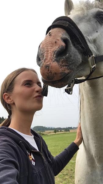 Tilridning af ældre hingst