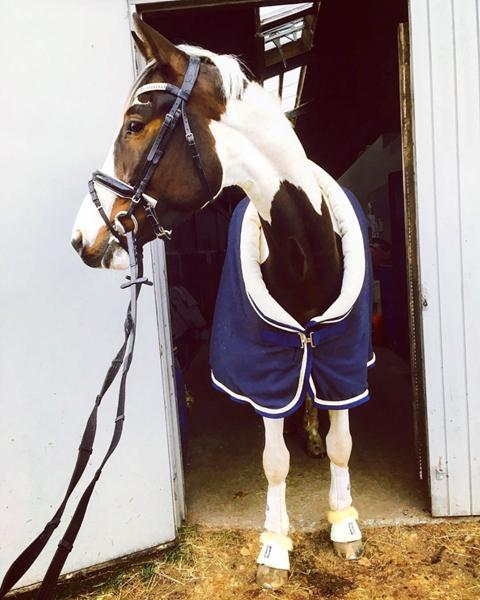 Skridtdækken MED krave?