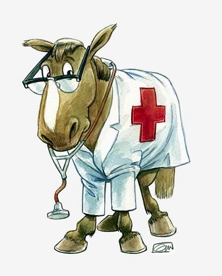 Uddannelsesspørgsmål - Veterinærsygeplejerske m. speciale i heste