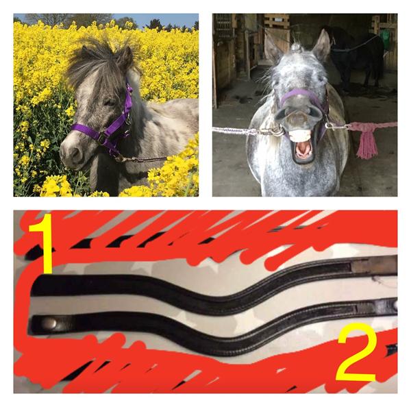 Hvilket pandebånd skal jeg vælge?