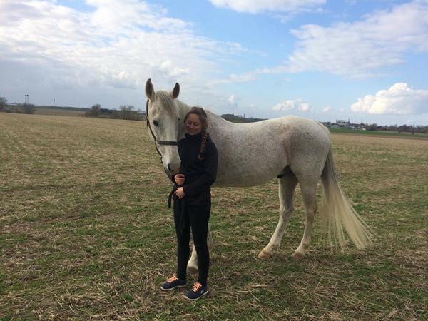 Modvillig når hesten skal drives op i fart :(