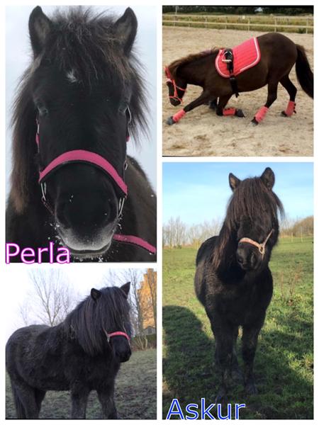 Smed i Køge området? 