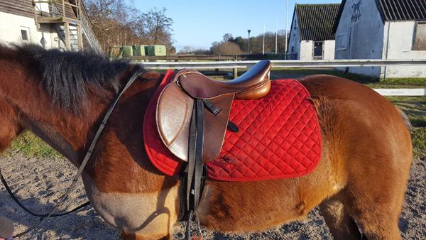 Hvilken gjord til sadel der glider frem?