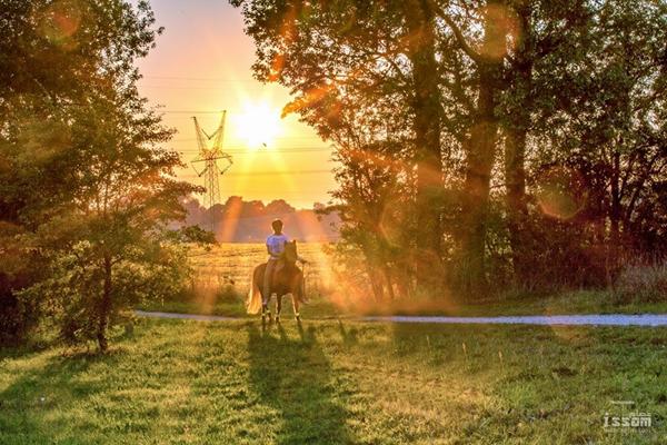 Hyggeemne: Dit mest harmoniske hestebillede!