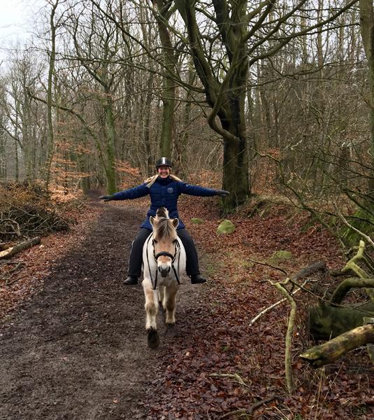 Ridning uden sadel - Jeres holdning