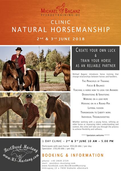 Natural Horsemanship Clinic med Michael Baganz