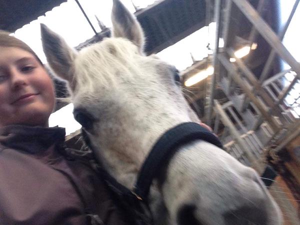 Bedste bund til allergihest?