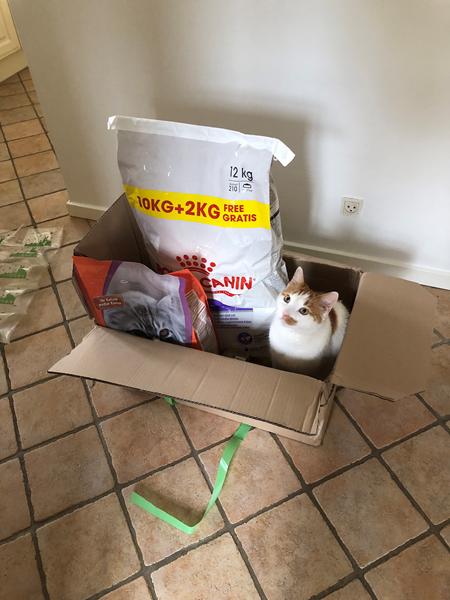 Effektivt flåt afskrækker søges