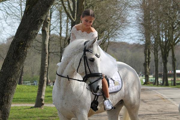 Hjulsporer- Nogle effaringer? 