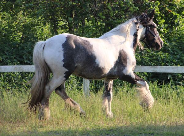 Bidløs hovedtøj (effekt)