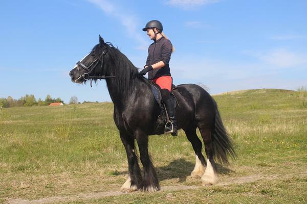 Går du på Hørsholm rideklub??