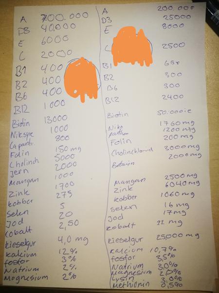 Vitamin/mineral, hvilket ville i vælge? 