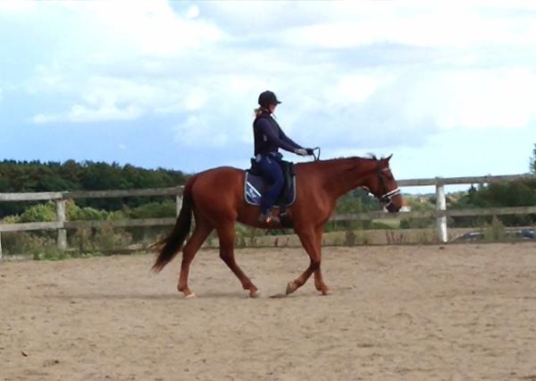 Tilridningens hastighed. 