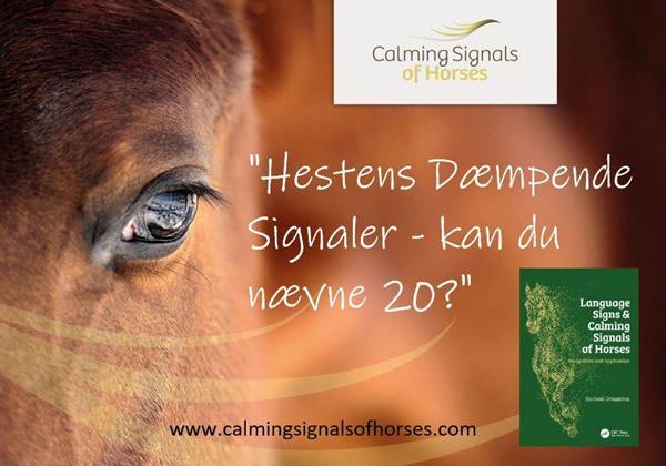 NY PRIS! Calming Signals of Horses" v. Rachael Draaisma