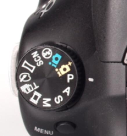 Kamera indstilling til hest