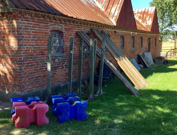 Maling, tender love and care - så fik dressurtanter spring .....