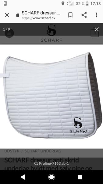 Logo for stort ift dressur reglement? 