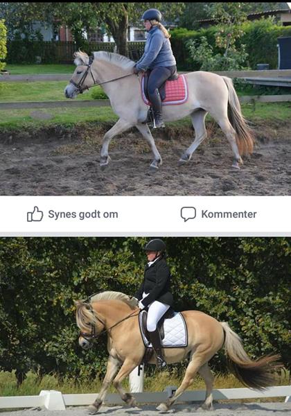 lave min egen Facebook side