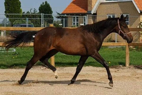 Vokse værk hos åring