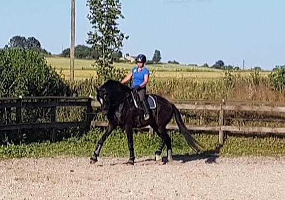 Ridehus nær Greve/Tune