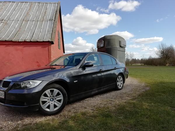 male glasfiber trailer 