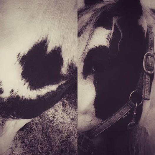 Specielle aftegninger