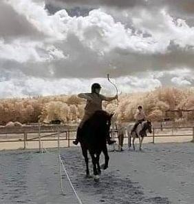 Intro til bueskydning til hest Sjælland 