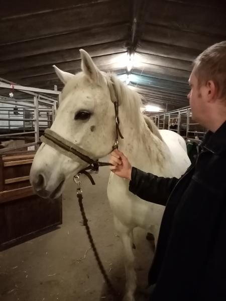 Tidligere ejer søges 