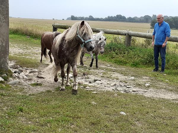 2021 hvordan gik det så?? Og hvad med 2022