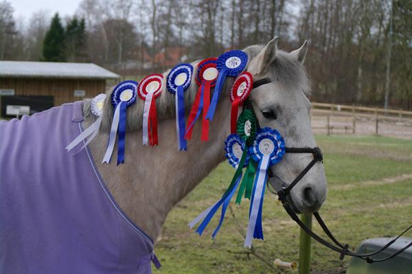 hvilket billede skal udskiftes?