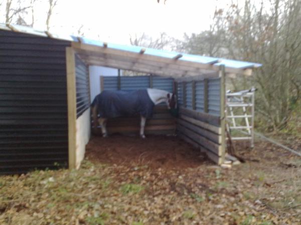 Videoovervågning i stalden - jeres erfaringer??