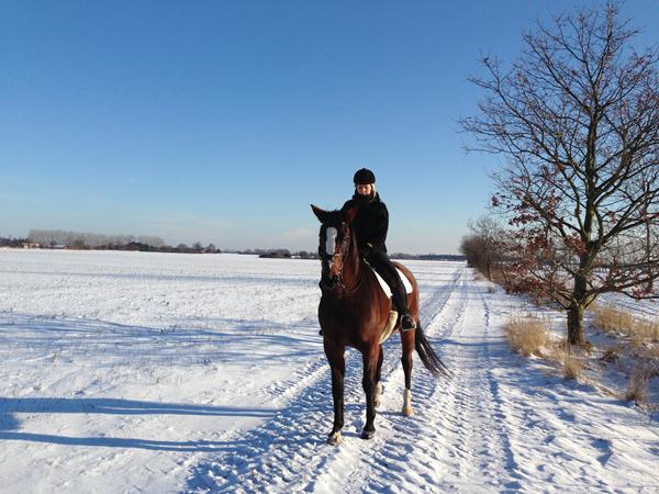 redet min Lady for anden gang. 