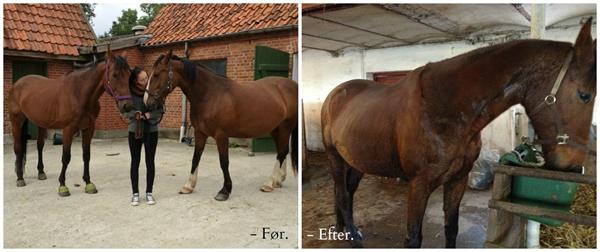 Endelig - Efter 10 måneder i uvished. 