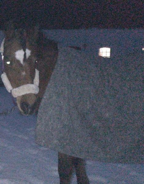 Frostfri drikkekop? Hjælp :)