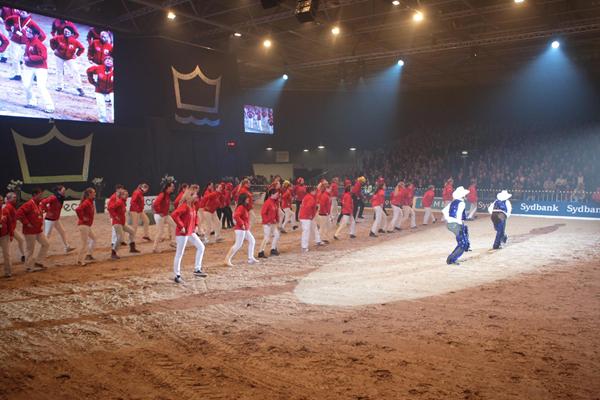 Hingstekåring i Herning 2012/2013