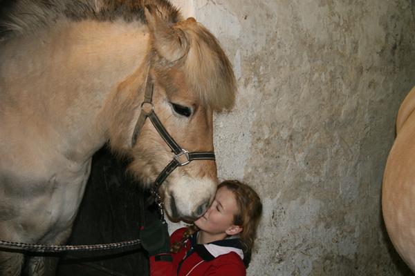 sang valg hjælp !!!!!!!!!!!!!!